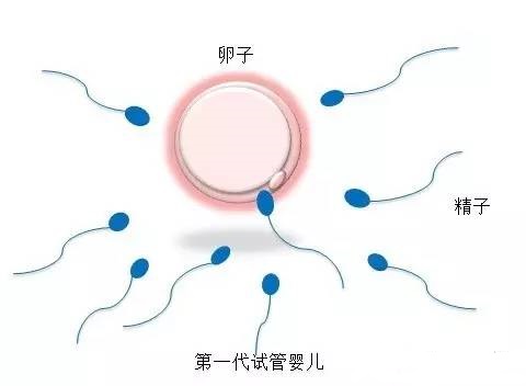 元准生殖医学中心